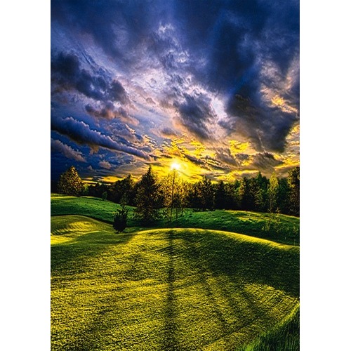 Puzzle 1000 el. PHIL KOCH Letni spacer