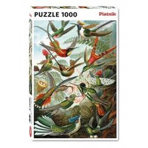 Puzzle 1000 - Haeckel, Kolibry PIATNIK