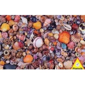 Puzzle 1000 - Muszelki PIATNIK