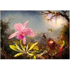 Puzzle 1000 Orchidea Cattleya i trzy kolibry