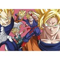 Puzzle 300 el. Dragon Ball Z