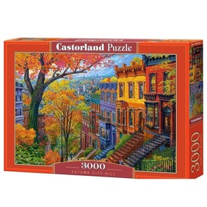 Puzzle 3000 Autumn City Hill CASTOR