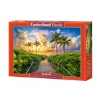 Puzzle 3000 elementów Wschód słońca palmy Miami USA