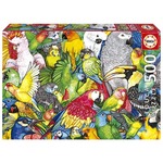 Puzzle 500 el. Kolorowe ptaki