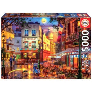 Puzzle 5000 el. Miasteczko we Francji