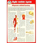 Puzzle Było sobie życie - Mięśnie i układ kostny + DVD