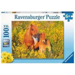 Puzzle XXL 100 Kucyki