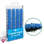 Scale 75: Flower Power - Blue Flowers