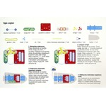 Sekrety elektroniki - motorówka