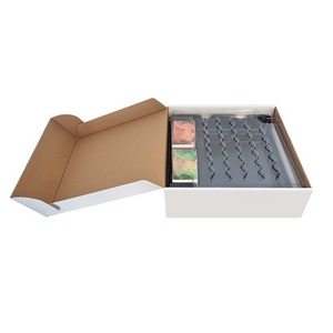 Terraforming Mars: Big Storage Box Extension