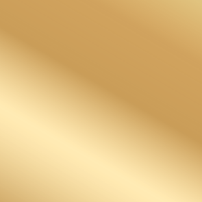 Vallejo: 77.252 - True Metallic Metal - Imperial Gold Paint Set